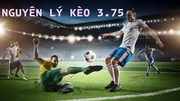 Chiến Thuật Đặt Cược Kèo 3.75 Đỉnh Cao Cho Những Người Chơi Chuyên Nghiệp