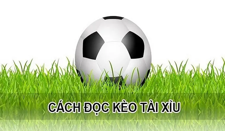 Hướng Dẫn Cách Đọc Kèo Tài Xỉu Hiệu Quả Mang Lại Lợi Nhuận Khủng Nhất Hiện Nay Cho Người