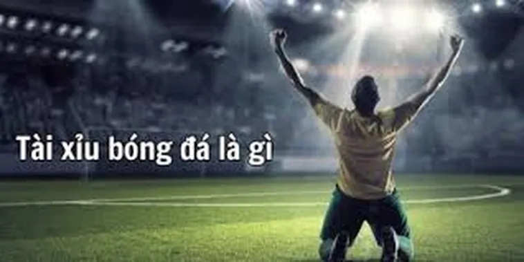 Hướng Dẫn Cách Đọc Kèo Tài Xỉu Hiệu Quả Mang Lại Lợi Nhuận Khủng Nhất Hiện Nay Cho Người