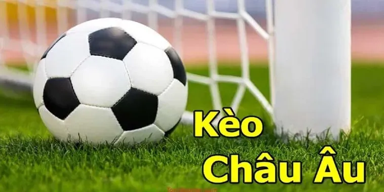 Bí Quyết Chinh Phục Kèo Châu Âu Với Tỷ Lệ Thắng Lợi Cao Nhất