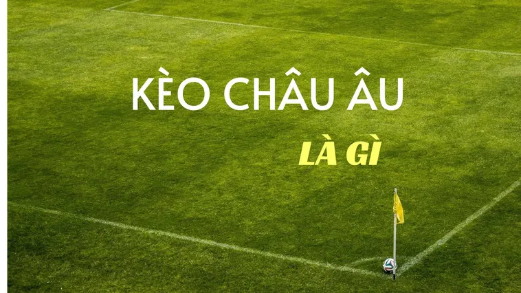 Bí Quyết Chinh Phục Kèo Châu Âu Với Tỷ Lệ Thắng Lợi Cao Nhất