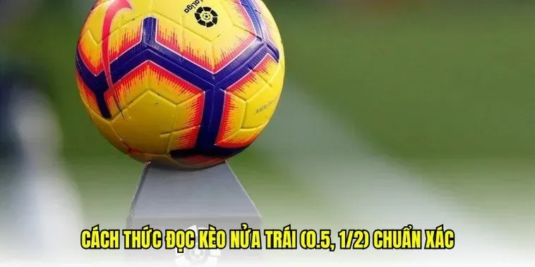 Hướng Dẫn Chi Tiết Cách Chơi Kèo Chấp 0.5 Hiệu Quả Cho Mọi Người Chơi