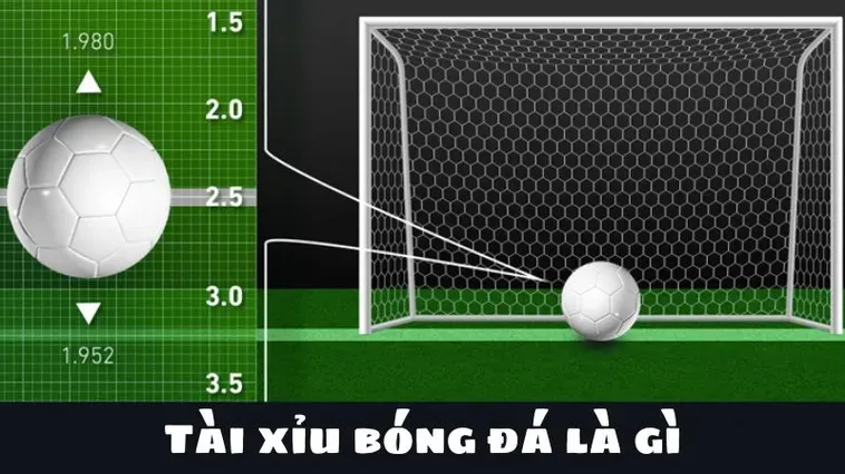 Hướng Dẫn Chi Tiết Cách Chơi Kèo Tài Xỉu Bóng Đá Dành Cho Mọi Người Chơi