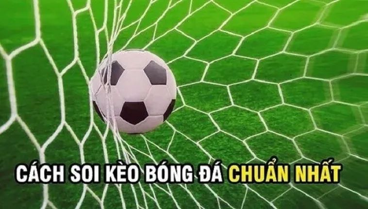 Tuyệt Chiêu Đánh Kèo Rung Trong Bóng Đá Giúp Người Chơi Thắng Lớn Mỗi Ngày